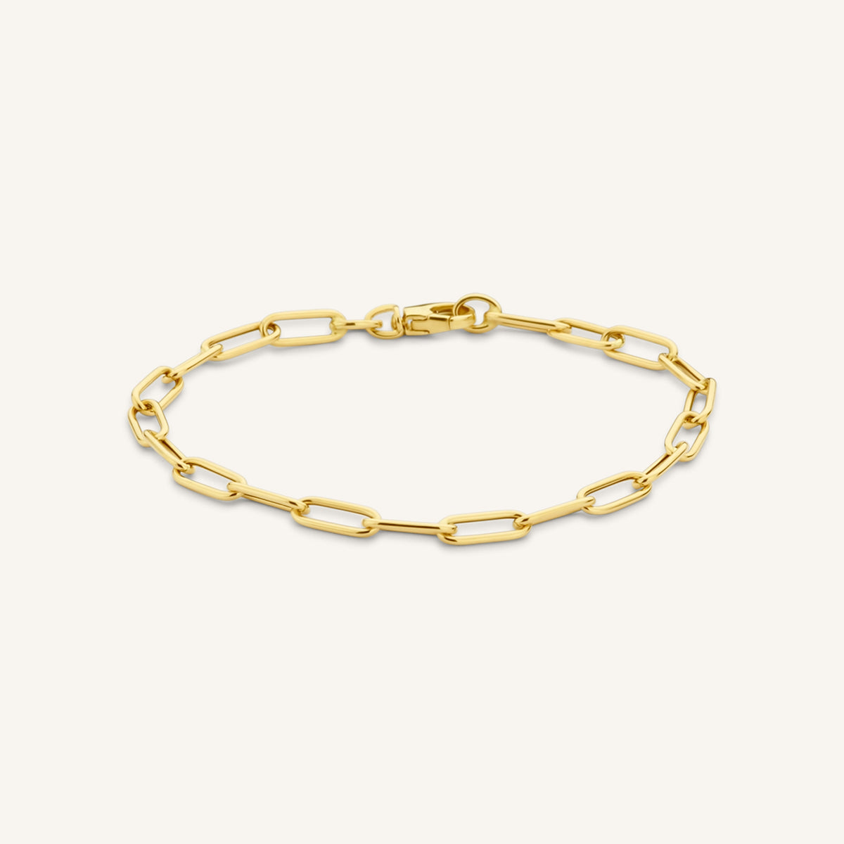 Paperclip Bracelet leftcolumn