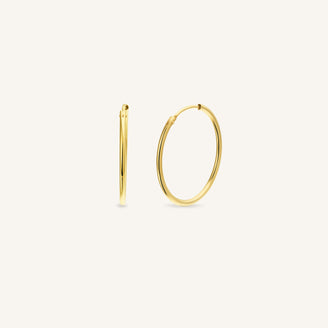 Hoop Earrings leftcolumn