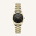 Ace XS Black